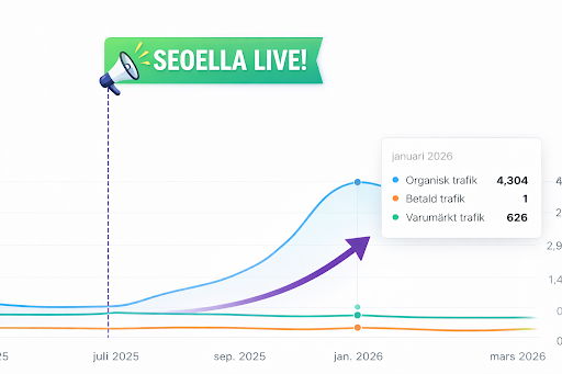 Actionking-seoella-resultat